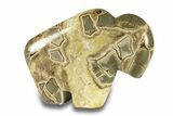 Calcite-Filled Polished Septarian Bison - Utah #264587-3